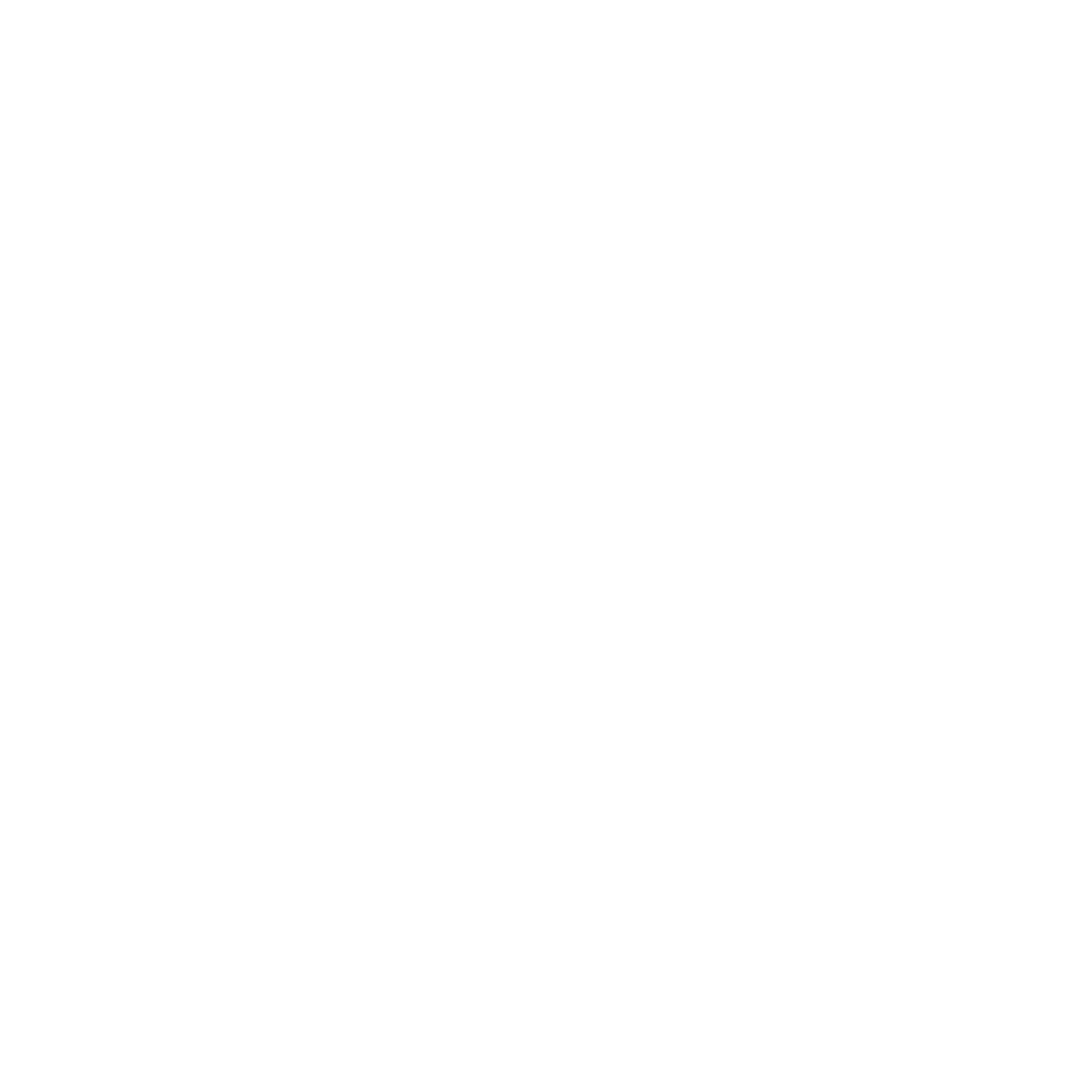 Y Not You full logo, white