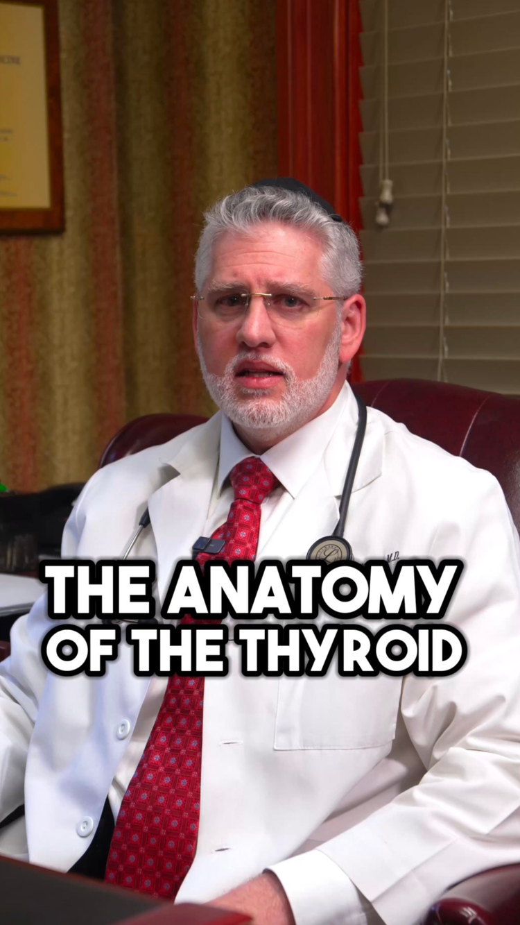 Endocrinology Consultants PLLC - Anatomy of the Thyroid